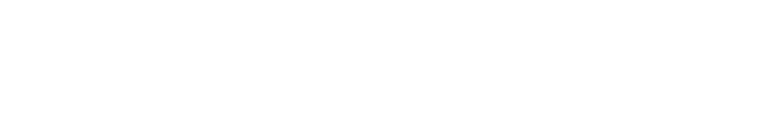Partner 2 Partner 2